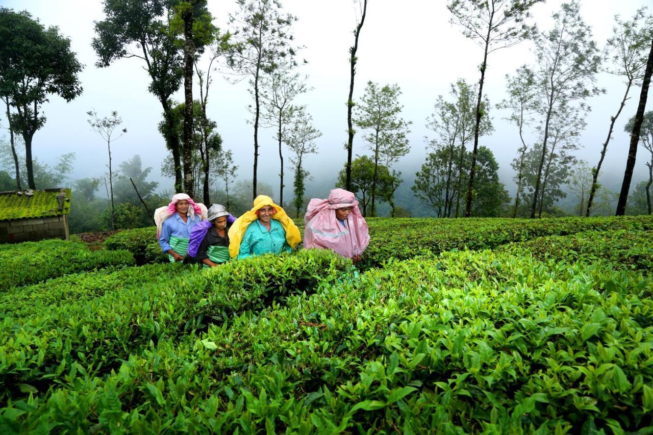 Winter Vale Green Stay Resorts Vagamon Buitenkant foto